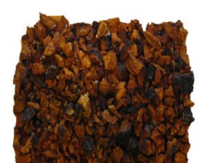 Inonotus obliquus (Chaga)